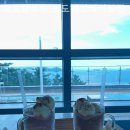 대포 베트남쌀국수 이미지