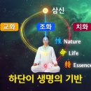 터널게이트(나) 이미지