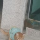 GS마트사거리 이미지