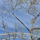 좌광천3(자전거도로) | 퇴근하자 마자 도서관, 정관 좌광천, 소두방공원: 이른 봄 산책