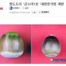 도토리나무