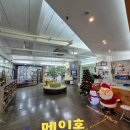 ⭐ 대구 달서구 키즈플레이 어린이스포츠센터 소개(구짐스플레이)