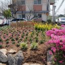 고양화전9 이미지