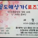 꽃도매상가 (로즈) 이미지