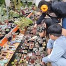 다육농가민박 이미지