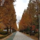 서두나루공원 이미지