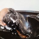 썸데이 헤어 이미지