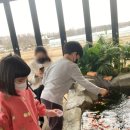 용인 &#34;리프플레이스&#34; 먹이주기체험카페/물고기동물먹이주기체험/경기도아이와가볼만한곳(내돈내산)