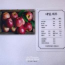 NailHaRu(네일하루)