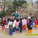숲생태유치원 이미지