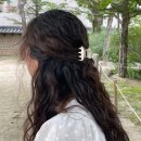 헤어(Hair)봄 - 진주시 | 집게핀 추천 에포르 Arch Hair Clip 헤어클립 내돈내산 후기(고정력, 착용컷)