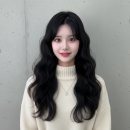 하리헤어 이미지