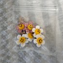 자이약국 | 다낭한시장 쇼핑리스트 떼샷 | 아오자이 구매후기 가격시세 속옷가게번호 원피스 나이키