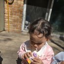 4/11/금 바깥놀이(뒷뜰마루 놀이)/점심시간/낮잠시간/오후놀이시간 이미지