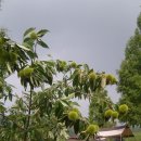 자연애캠핑장 이미지