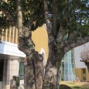 둥지식당 이미지