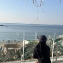 대부도 해변 무료 갯벌체험 정보 무료주차&amp;위치 추천
