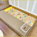 꼬마대통령 이미지