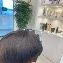 리안헤어산곡더루츠