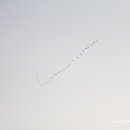 까페 가일 이미지