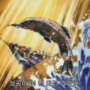 V라인S라인 이미지