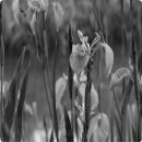 방문농장 이미지