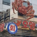 오양카 네이버블로그
