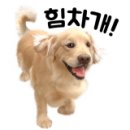 정재광복싱클럽 이미지