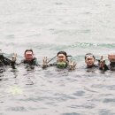 [은점마을]플라이피쉬 네이버블로그