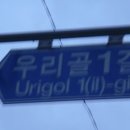 소나무농장 이미지