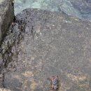 천운주유소 공중화장실 | 자연친화적 대만 배낭여행(7일) - 디지털디톡스