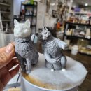 묘 미 앤 이미지