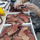 답십리8 이미지