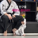 용인대 태권마루 태권도장 이미지