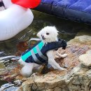 호성계곡 이미지