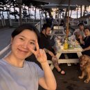 홍성 한우한돈 수입육 도소매 이미지