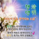 청명 이미지