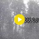 잊으리, 날개 이미지