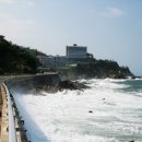 삼척번개시장 이미지