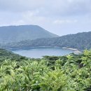 일본 - 지진, 화산 분출 뚫고 ＜가고시마＞를 가다 ! 이미지