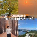 (주)경주산림환경 | 11월 국내 가을 여행지 추천 Best 7
