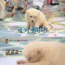 안녕하세요 이미지