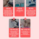뷰티플라워