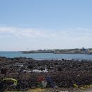 곽지올레 이미지