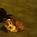 박우물로 20 이미지