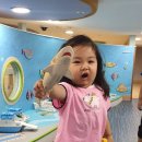 팡팡랜드 이미지