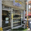 퍼피살롱 이미지