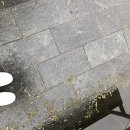 베이비 브레짜 서포터즈 2기 발대식에 다녀오다