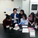 강원대학교사범대학부설고등학교 이미지