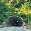 우복동편백펜션